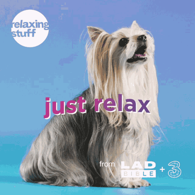 Relaxingstuff Threeuk GIF
