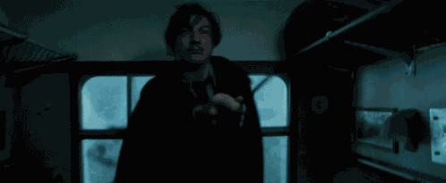 Remus Lupin Lupin GIF