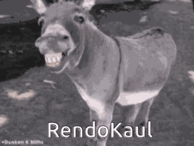 Rendo GIF
