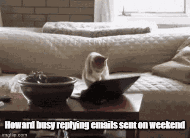 Reply Emails GIF