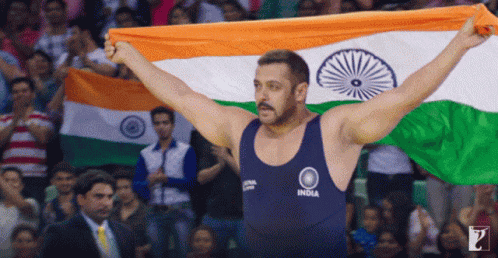 Republic Day Celebration GIF