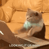 Research GIF