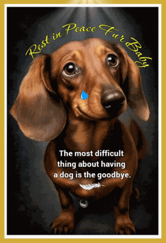Rest In Peace Dogs GIF
