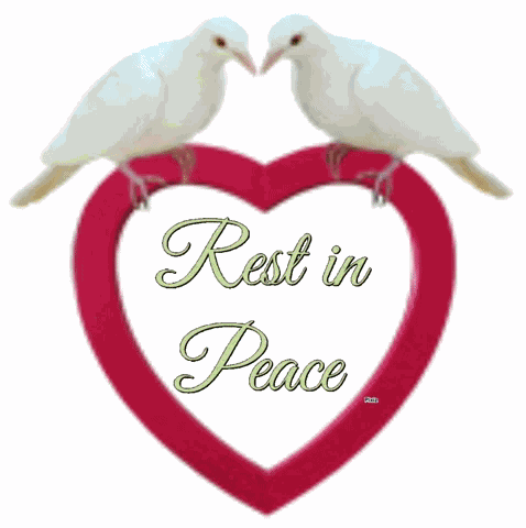 Rest In Peace GIF