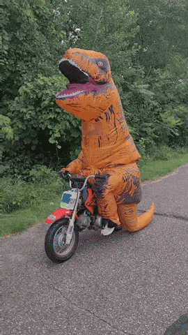 Rexy Roxy GIF
