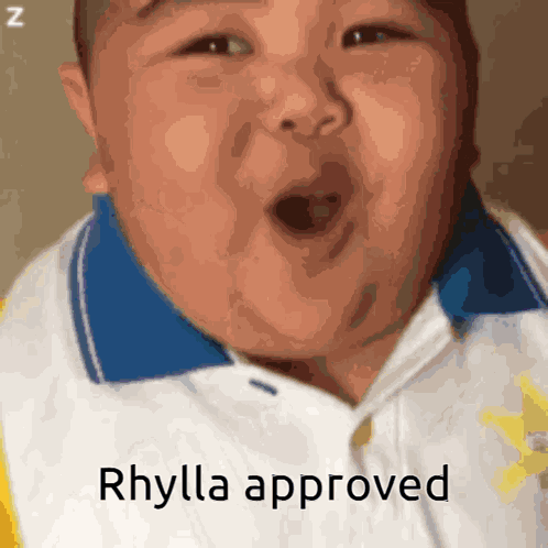 Rhylla Approved Signal Lost GIF