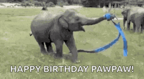Ribbin Dance Ribbon Dance GIF