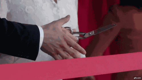 Ribbon Cutting Wcth Ribbon GIF