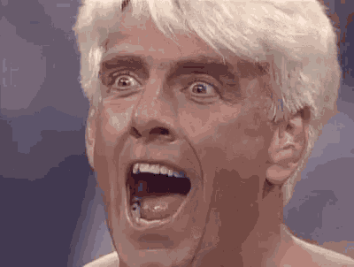 Ric Flair GIF
