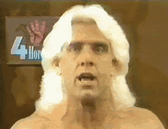 Ric Flair GIF