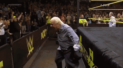 Ric Flair GIF