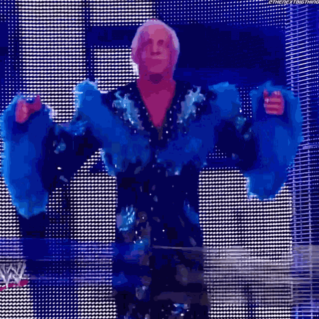 Ric Flair Entrance GIF