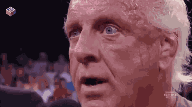 Ric Flair GIF
