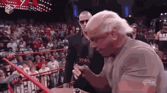 Ric Flair GIF