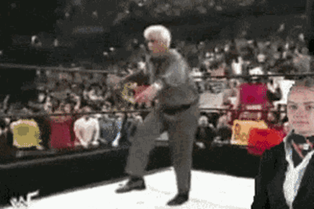 Ric Flair Stewardess GIF