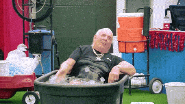 Ric Flair The Nature Boy Ric Flair GIF