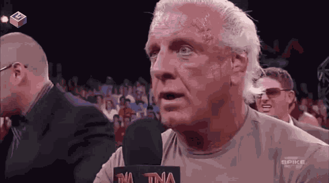 Ric Flair GIF