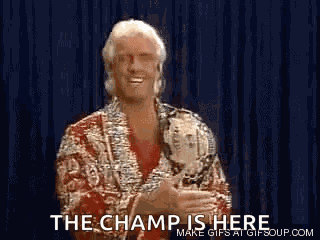 Ric Flair Wrestler GIF