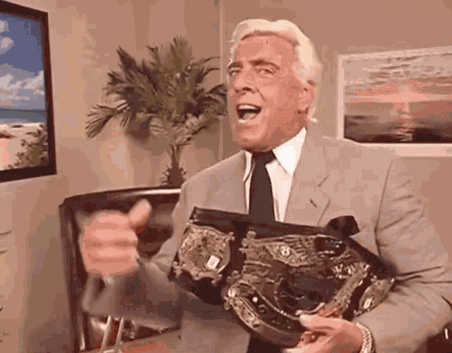 Ric Flair GIF
