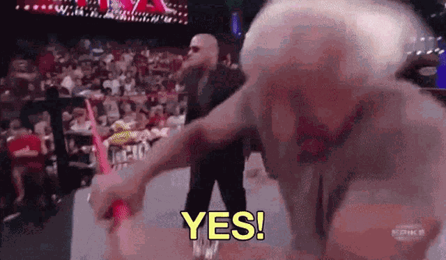 Ric Flair Wwe GIF