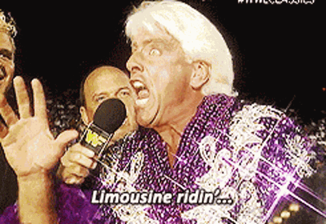 Ric Flair Wwf GIF