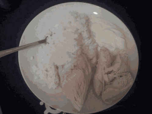 Rice Taylor Discography GIF