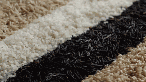 Ricewednesday Rice Wendsay GIF