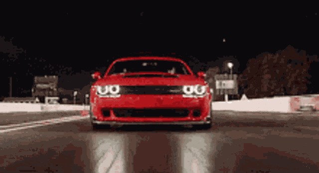 Richie Gecko Zane Holts GIF