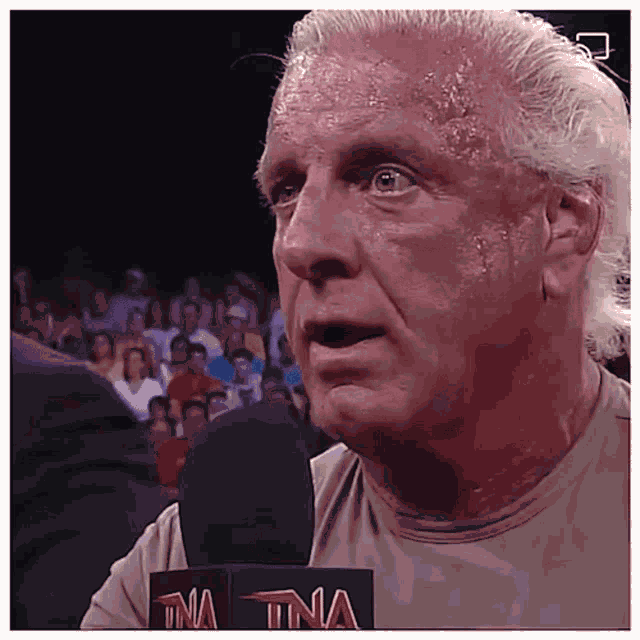 Rick Flair GIF
