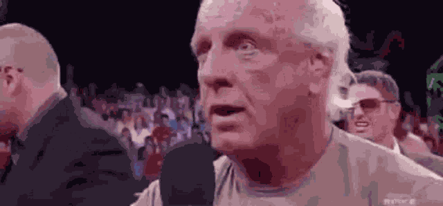 Rick Flair GIF