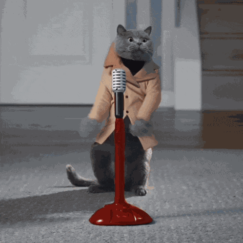 Rick Roll Cat Rick Roll GIF