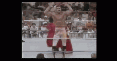 Rick Rude Wrestler GIF