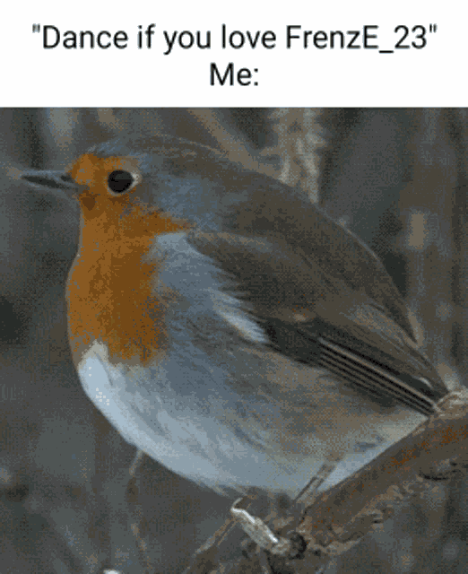 Rickaerian Frenze23 GIF