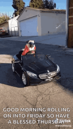 Riding Driving GIF