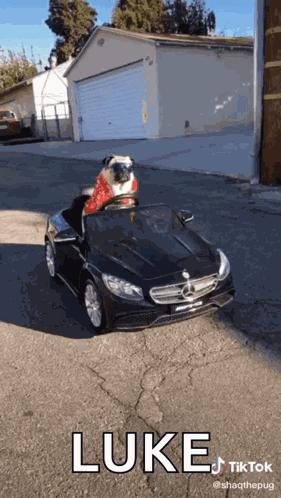 Riding Driving GIF