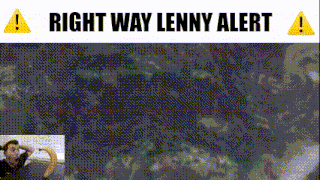 Right Way Lenny Right Way Lenny Alert GIF