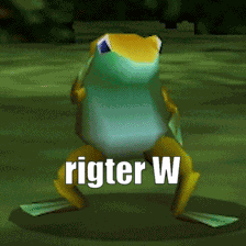 Rigter Rigterw GIF