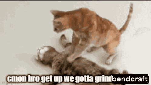 Rise And Grind Minecraft Memes GIF