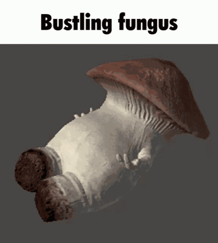 Risk Of Rain2 Bungus GIF