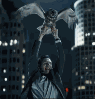 Rita Pita Memes Flying GIF