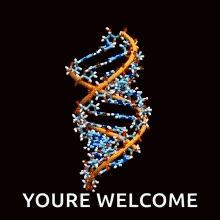 Rna Dna GIF