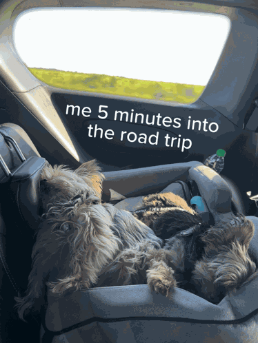 Road Trip Roadtrip GIF