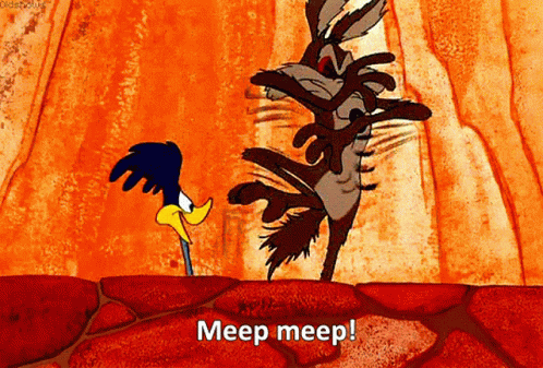 Roadrunner Meep Wile E Coyote GIF