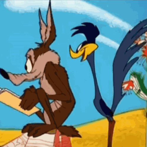 Roadrunner Road Runner GIF