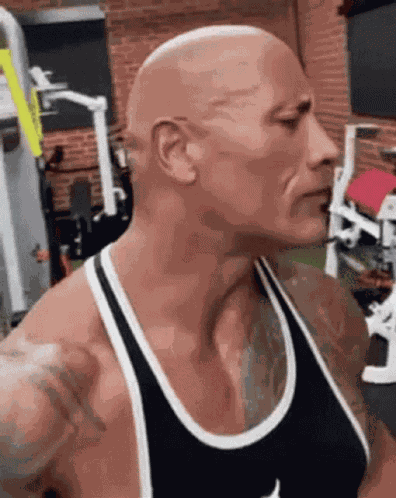 Rock The Eyebrow GIF