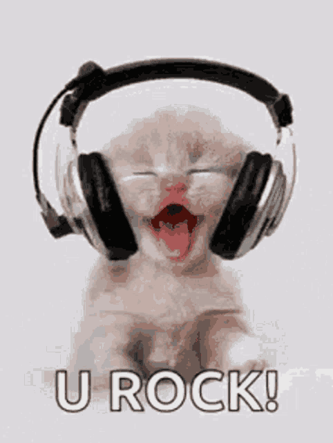 Rock You Meme