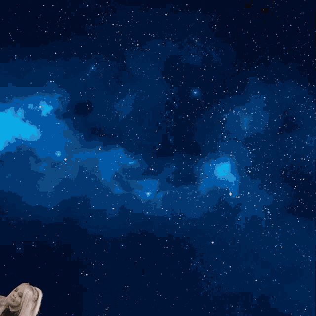 Rocket Launching Emuhleet GIF