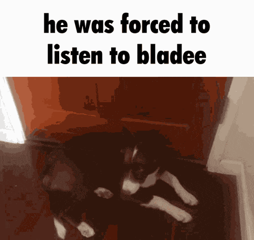Rocky Bladee GIF
