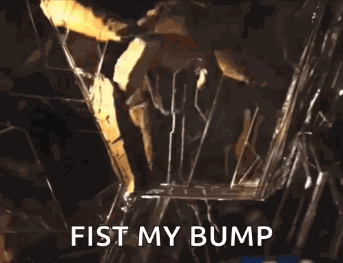 Rocky Fist Bump GIF