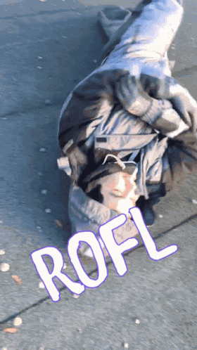 Rofl Lol GIF